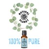 Natural Planet Eucalyptus Essential Oil 15ML Natural 100% Pure &