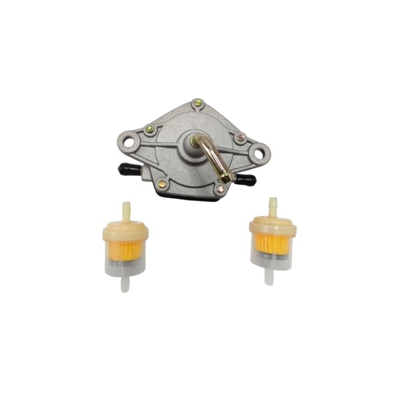 Juicinyi Fuel Pump for Suzuki Ozark KingQuad QuadRunner KingQuad ALT50