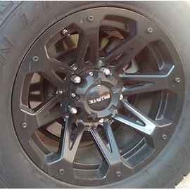 Ballistic Jester Silver Trim Bolt Short Kit for 1 Wheel