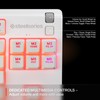 SteelSeries Apex 3 TKL White RGB Gaming Keyboard — Tenkeyless