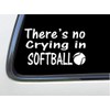 ThatLilCabin - There is NO Crying in Softball AS799 6"