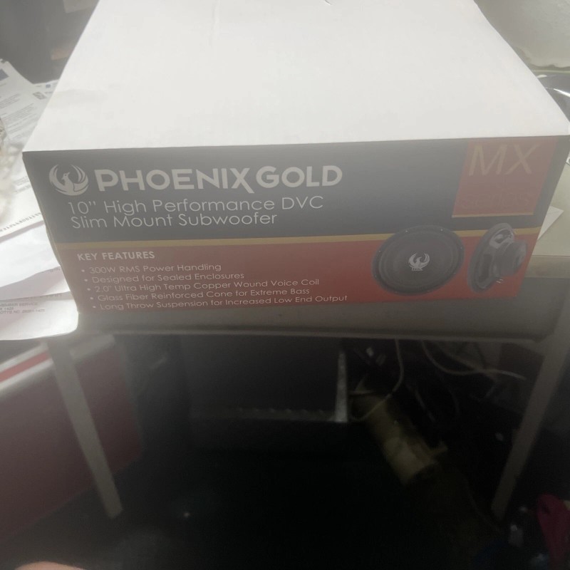 PHOENIX GOLD 10" dual 2 Ohm slimline subwoofer
