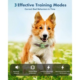 SLFC Dog Shock Collar - 3300FT Dog Training Collar with Remote Control, IP67 Waterproof, LED Light Function, Rechargeable Electric Shock Collar for Small Medium Large Dogs (Green)