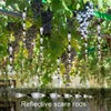 MorTime 30 Pack Bird Repellent Reflective Scare Rods,Ornamental Spiral Deterrent