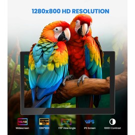 Prystivue 10.1 Inch Mini Monitor,1280x800 IPS Small Monitor,100% sRGB Dual Speakers,VAG LCD HDMI AV BNC DVI Port Desktop Display for Industrial PC, RPi, CCTV, Gaming, & Home Surveillance (101PI-E)