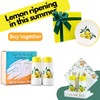 Lemon Salt And Pepper Shakers - Lemon Kitchen Decor and
