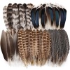 40pcs Natural Pheasant Feathers Bulk Spotted Feathers 5 Styles Mixed