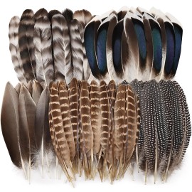 40pcs Natural Pheasant Feathers Bulk Spotted Feathers 5 Styles Mixed Feathers for Crafts DIY Hat Floral Arrangements WeddingColor: 10 Style