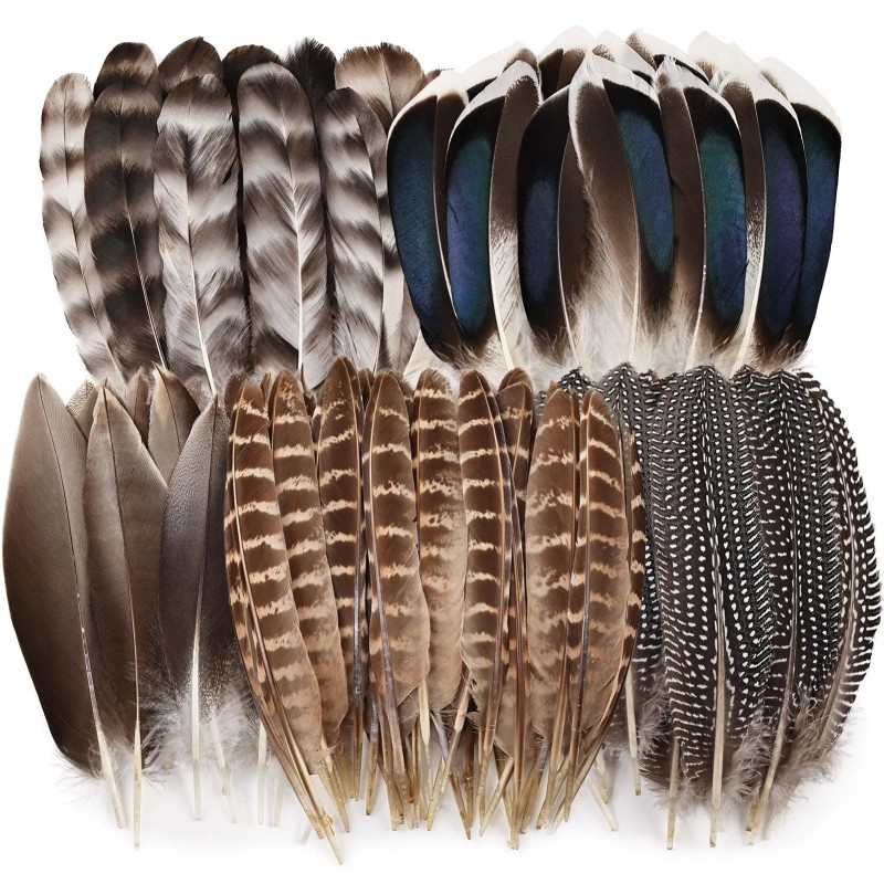 40pcs Natural Pheasant Feathers Bulk Spotted Feathers 5 Styles Mixed