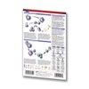 Immunology Guide -Pocket Chart - Medical Quick Reference Guide by