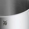 WMF Saucepan 16 cm with Spout, Small Pot without Lid,