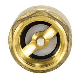 Eastman Brass In-Line Check Valve, 1 Inch IPS, Stainless Steel Spring, 20405LF