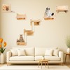 Cat Wall Shelves, Furniture Set, Shelves and Perches for Wall,