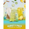 KLASS VIDA Variety Pack Hydration Sugar-Free Powder Packets |Electrolyte Agua