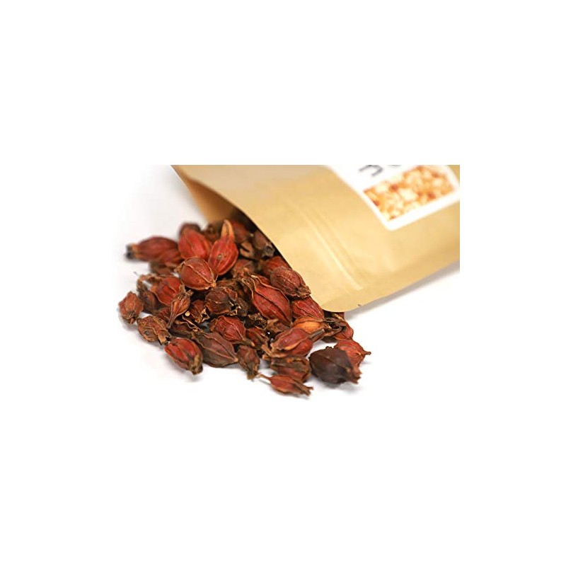 NEW PACKAGING Gardenia Fruit Shan Zhi Zi 山栀子 4oz