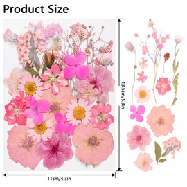 50Pcs Dried Pressed Flowers Real Pressed Flowers Natural Dry Leaves Bulk Mixed Colorful Herbs Kit with Tweezers for Scrapbooking DIY Candle Jewelry Crafts Making Nails (Pink)