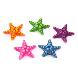 Kazoo Starfish Ornament, 5 Count