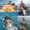 Burning Shark Towing Reel Salt Spirit Level Wind Rollers Boat