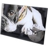 Keystone Glass Art Picture DOG A Desk Clock GLARCLDA w20xd4xH13cm