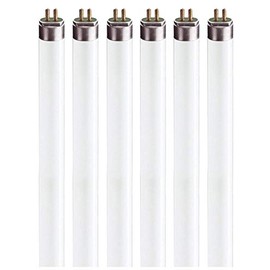 Circle (6 Pack) F13T5/WW - T5 Fluorescent 3000K Warm White - 21" Linear - 13 Watt T5 - Under The Counter Light Bulbs