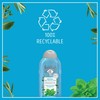 Le Petit Marseillais 2-in-1 Shampoo Anti-Dandruff Mint Organic and Essential