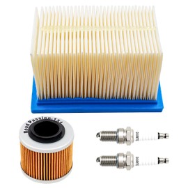 Road Passion 1 x Air Filter & 1 x Oil Filter & 2 x Spark Plugs Compatible with F650GS 2005-2007