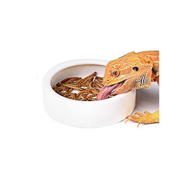 RunXF Reptiles Bowl Ceramics Dish 3.9 x 1 inch Round
