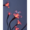 Lightshare Cherry Blossom Lighted Tree 5 Feet, RGB with Remote