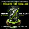Creatina Monohidratada Micronizada Electrolitos Magnesio Potasio Vitaminas Agua Coco Creatine