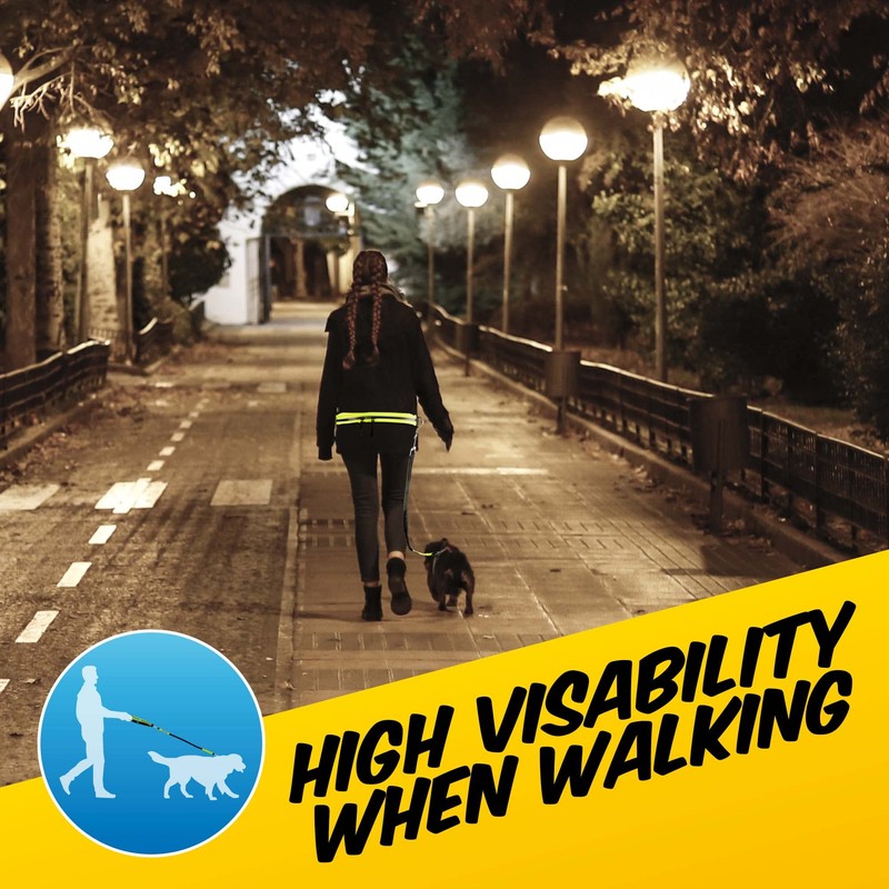 PawPride 7in1 Reflective Hands-Free Dog Adjustable Belt 1.6m Lead -