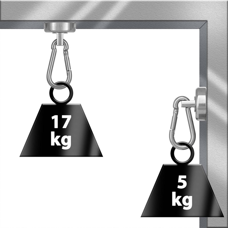 POPPSTAR Carabiner Magnet Strong, 4X (17kg Clamping Force) Neodymium Hook