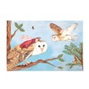Enchantmints Fairy & Owl Musical Jewelry Box