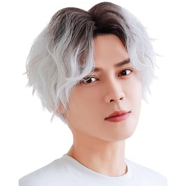 [TefuRe] Men's Wig, Men's Wig, Rough, Casual Style, Perm, Center Part Short Perm, Black/White MEN-007BkWt