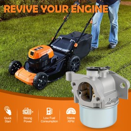 799868 Carburetor Compatible with 498170 799872 694202 693909 692648 499617 497586 497314 498254 790821-14111 Carb with 795259 Air Cleaner Primer Base