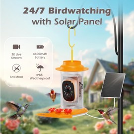 RichBird Smart Hummingbird Feeder with Camera Solar Powered, AI Identify, Instant Notification, Leakproof & Ant Moat, Outdoors Hanging, Idea Gift for Bird Lovers (20 oz)
