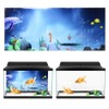 Waterproof Aquarium Background Wall Sticker Pvc Self Adhesive Fish Tank