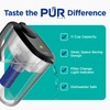 PUR Plus 11-Cup Water Pitcher, 1 Lead-Reducing Filter, Cleaner, Great-tasting