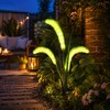 Solar Foxtail Garden Lights for Outdoor Decor – 3-Head LED