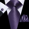 Dubulle Mens Tie Set Solid Paisley Silk Striped Necktie for