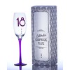Boxer Champ Glass-Celebrate, Purple, 26 x 9.5 x 7.5 cm
