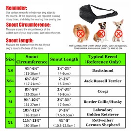 beidaiby Dog Muzzle Adjustable,Dog Muzzle for Small Dog with Rounded Mesh,Muzzle to Prevent Biting,Dog Training Muzzle Breathable,For Outings, Dog Walking,Vet Visits and Nail Trimming(Black, L)