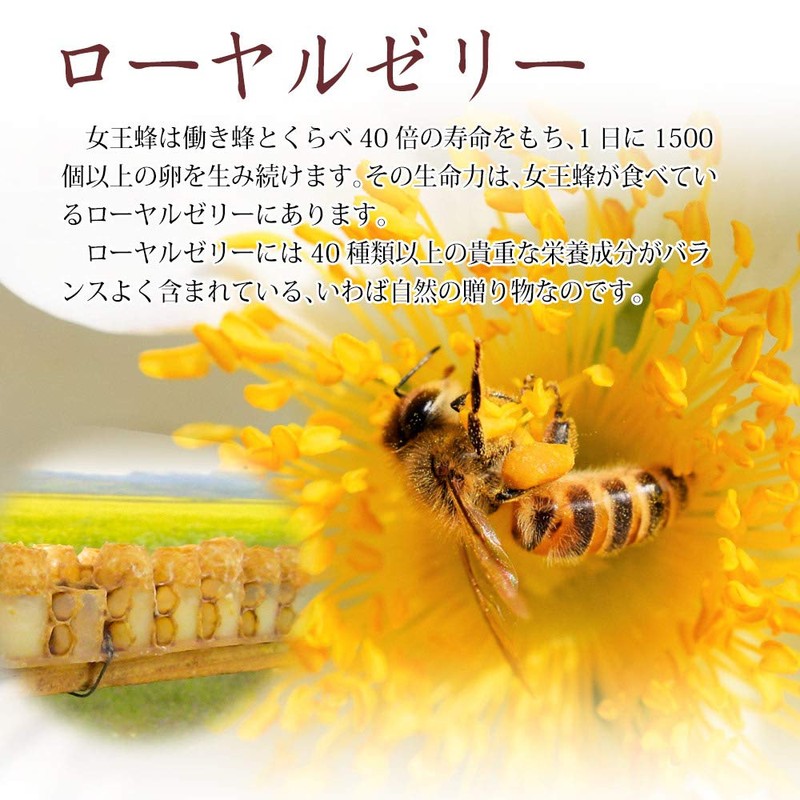 大日ヘルシーフーズ ローヤルゼリー 濃縮にんにくの力 30粒入×1袋 にんにく卵黄 ビタミンB1 サプリ