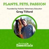 Animal Essentials SeaDent for Dogs - Kelp and Enzymes Plaque,