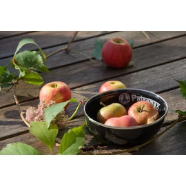 PETROMAX 12894 Enamel Bowls for Outdoor Camping (2 Pack), Black