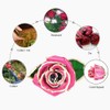 Ejoyous Gold Rose