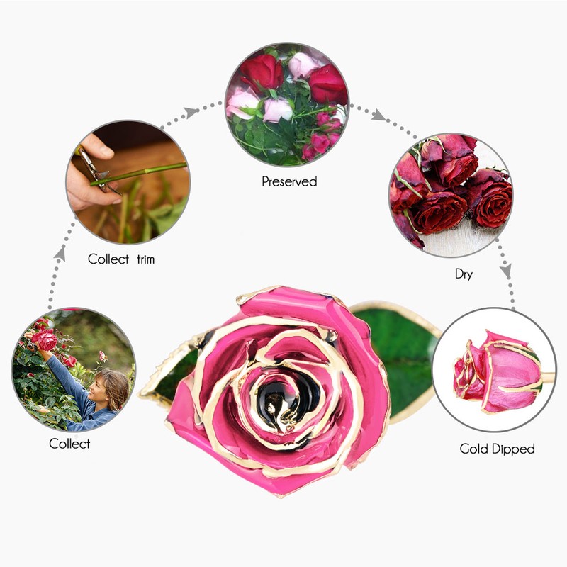 Ejoyous Gold Rose