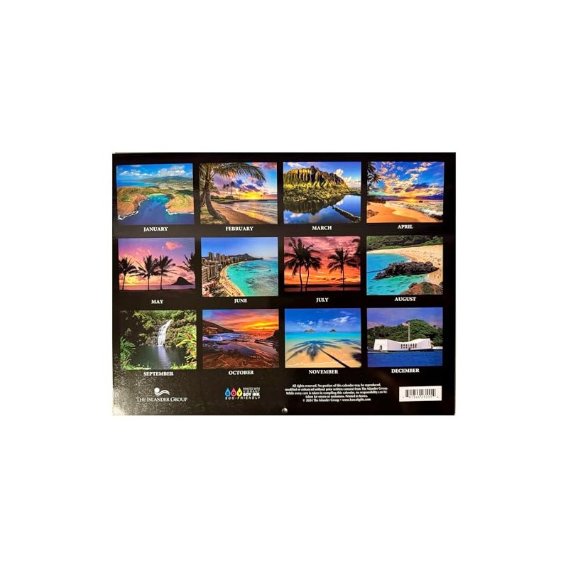 Islander Hawaii Hawaiian 2025 Twelve Month Wall Calendar (Aloha State