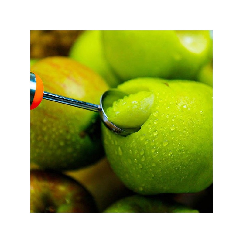 영주마실 풋사과분말 150g /건강과일가루 Yeongju Apple Powder 150g / Healthy