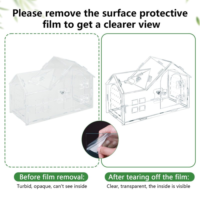 Jumping Spider Enclosure, 8.7×4.3×5.9in Escape-Proof, Secure & Ventilated Spider Terrarium,