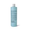 ion Moisture Conditioner, Hydrates Hair and Restores Healthy Appearance, Sulfate